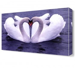 Kazların Aşkı Canvas Tablo (1)