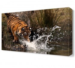 Kaplan Canvas Tablo (1)