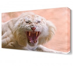 Beyaz Kaplan Canvas Tablo (1)