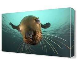 Fok Canvas Tablo (1)