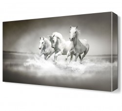 Beyaz Atlar Canvas Tablo (1)