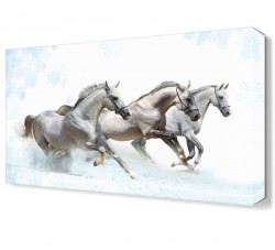 Beyaz Atlar2 Canvas Tablo