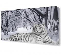 Beyaz Kaplan ve Kar Canvas Tablo (1)