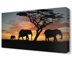 Fil Ailesi Canvas Tablo (1)