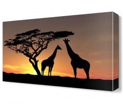 Zürafa Ailesi Canvas Tablo