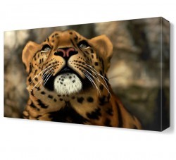 Yavru Aslan Canvas Tablo (1)