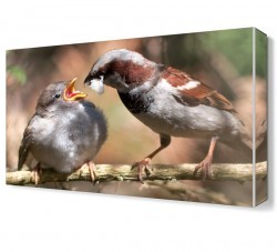 Serçe Canvas Tablo (1)