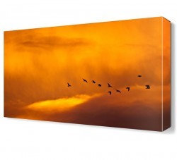 Kuşlar Canvas Tablo (1)