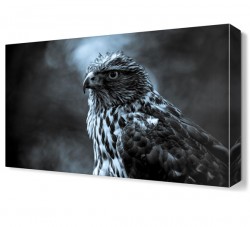 Şahin2 Canvas Tablo