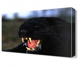 Ürkütücü Canvas Tablo (1)