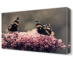 Kelebekler Canvas Tablo (1)