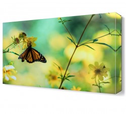 Kelebek Canvas Tablo
