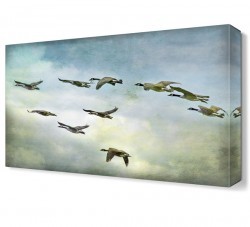 Göç Eden Ördekler2 Canvas Tablo (1)