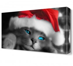 Noel Şapkalı Kedi Canvas Tablo
