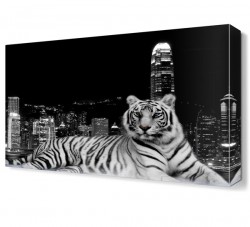 Siyah Beyaz Kaplan Canvas Tablo