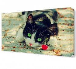 Kedi ve Kiraz Canvas Tablo (1)