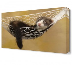 Sevimli Hayvan4 Canvas Tablo