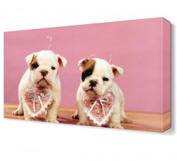 İkiz Köpekler Canvas Tablo