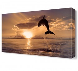 Atlayan Yunus Canvas Tablo (1)