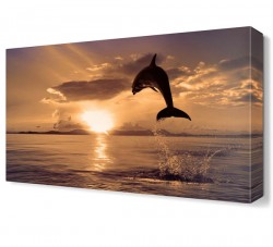 Atlayan Yunus Canvas Tablo