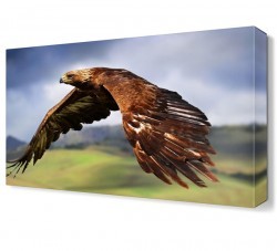 Atmaca Canvas Tablo (1)