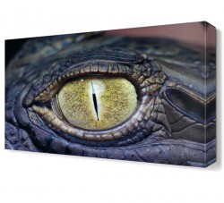 Timsah Gözü Canvas Tablo (1)