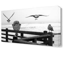 Kuşlar2 Canvas Tablo (1)