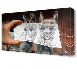Komik Eşek Canvas Tablo