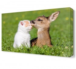 Sevimli Hayvanlar6 Canvas Tablo (1)
