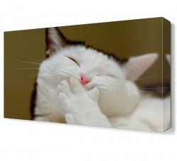 Gülümseyen Kedi Canvas Tablo (1)