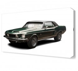 Green Hornet Canvas Tablo