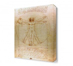 Leonardo da vinci Vitruve Luc Viatour Tablo