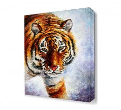 Kaplan 1 Canvas Tablo