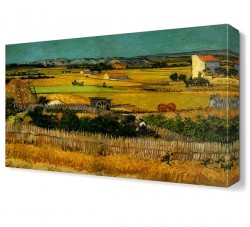 Tarla Canvas Tablo (1)