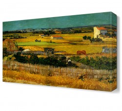 Tarla Canvas Tablo