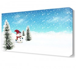 Kardan Adam Canvas Tablo