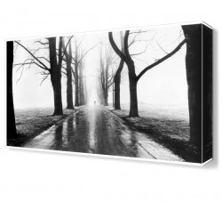 Bilinmez Tablo Canvas Tablo (1)