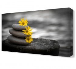 Taşlar Çiçek Canvas Tablo (1)