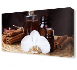 Tarçın Canvas Tablo (1)