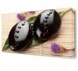 İki Taş Canvas Tablo