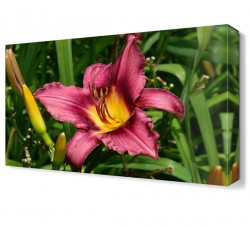 Sarı Özlü Çiçek Canvas Tablo