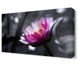 Mor Beyaz Çiçek Canvas Tablo