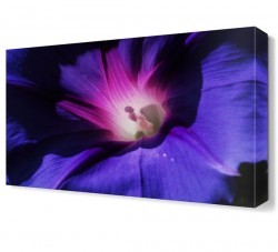 Mor Işıklı Çiçek Canvas Tablo (1)