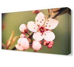 Daldaki Çiçek Canvas Tablo