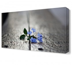 Banktaki Küçük Çiçek Canvas Tablo