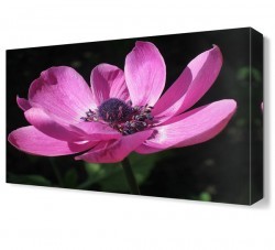 Güzel Çiçek Canvas Tablo (1)