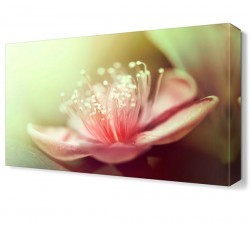 Pembe Çiçek2 Tablo (1)