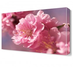 Pembe Çiçekler2 Tablosu