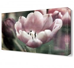 Nostalji Çiçek Tablosu (1)