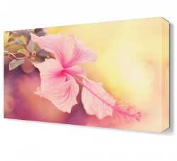 Pembe Çiçek3 Tablosu (1)